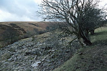 Exmoor - 052