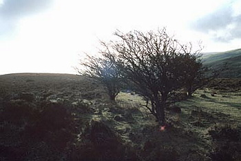 Exmoor - 008