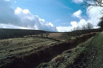 Exmoor - 012