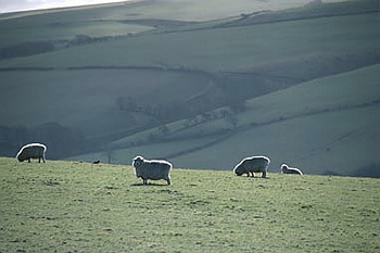 Exmoor - 018
