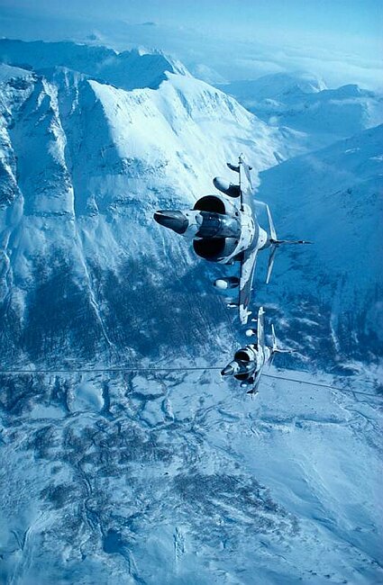 Harriers in Norway.