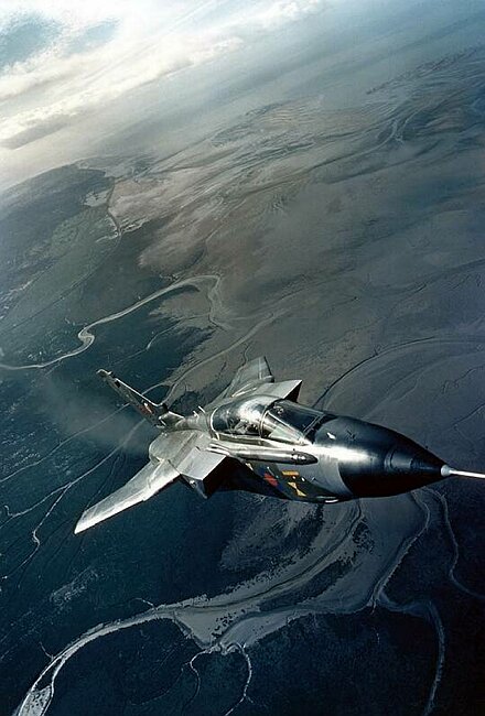 Panavia Tornado prototype.