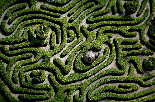 Glendurgan maze.